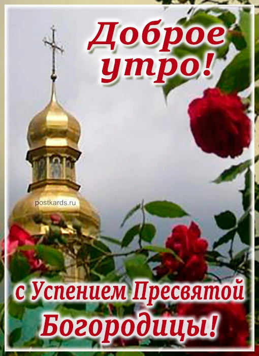 https://max.ru/invista123456