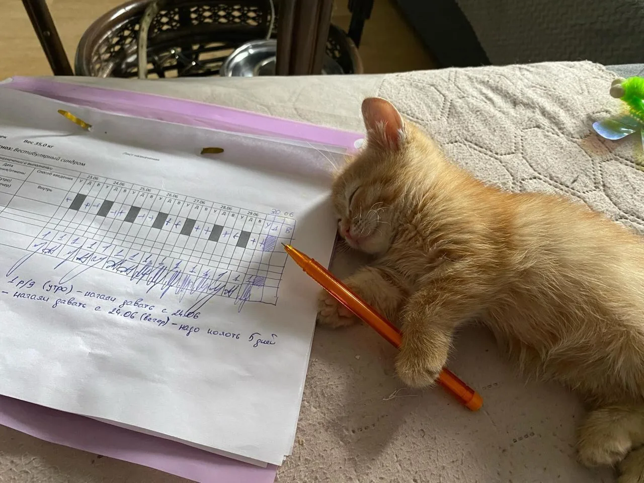 Коллеги, извините, если в отчётах ошибки.