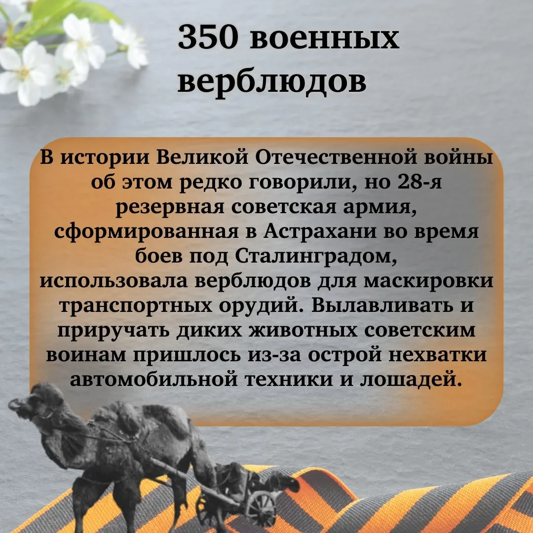 🕯️ Великая Отечественная Война - одно из самых трагичных событий прошлого века. Она оставила неизгла
