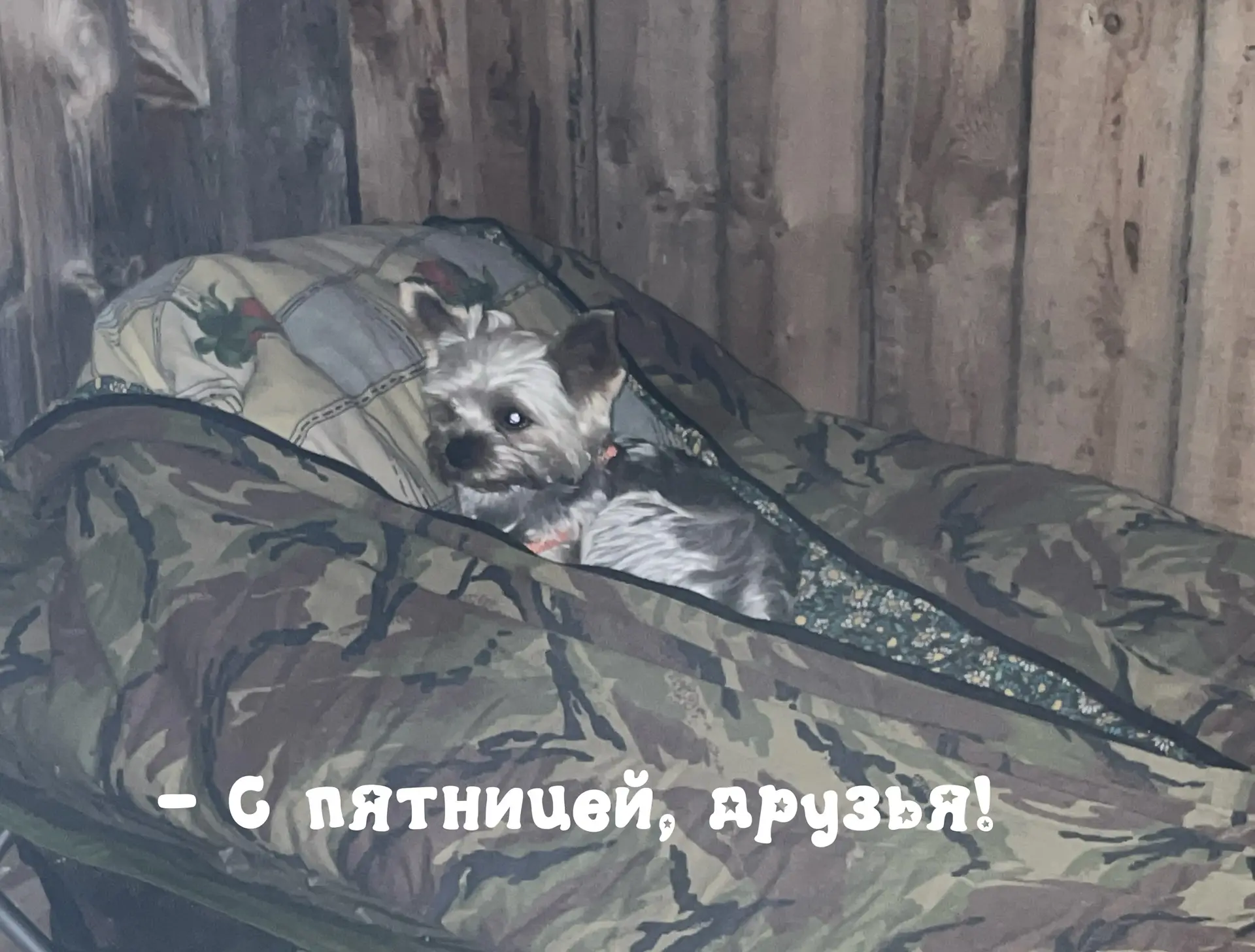 🔶 С пятницей!