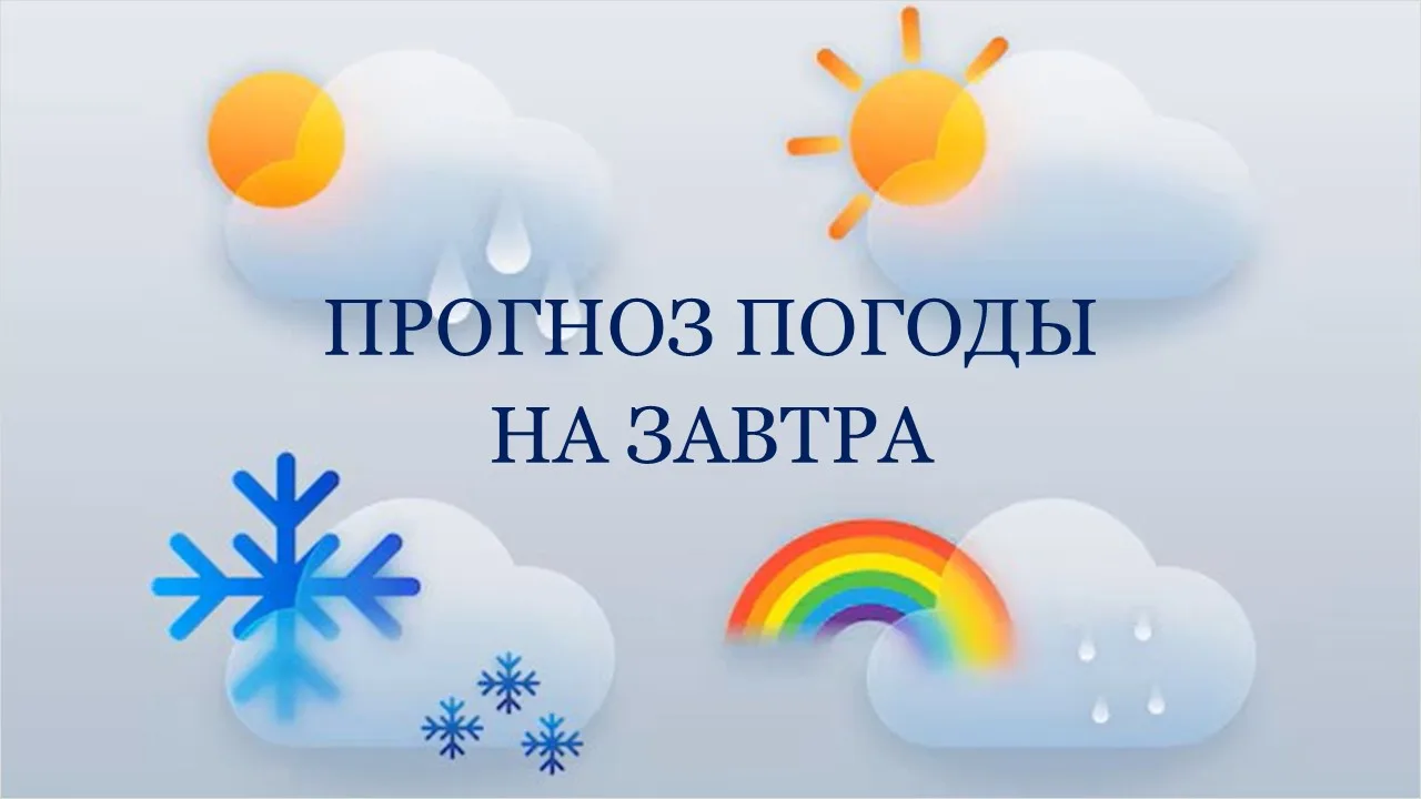 Согласно прогнозу ФГБУ "Северо-Западное УГМС" от 05.08.2026: