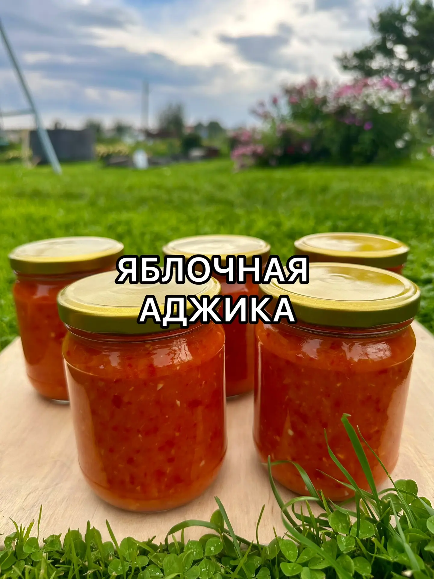 Друзья, сохраняйте канал Татьяны Прокопчанки, он точно пригодится вам этим летом👇