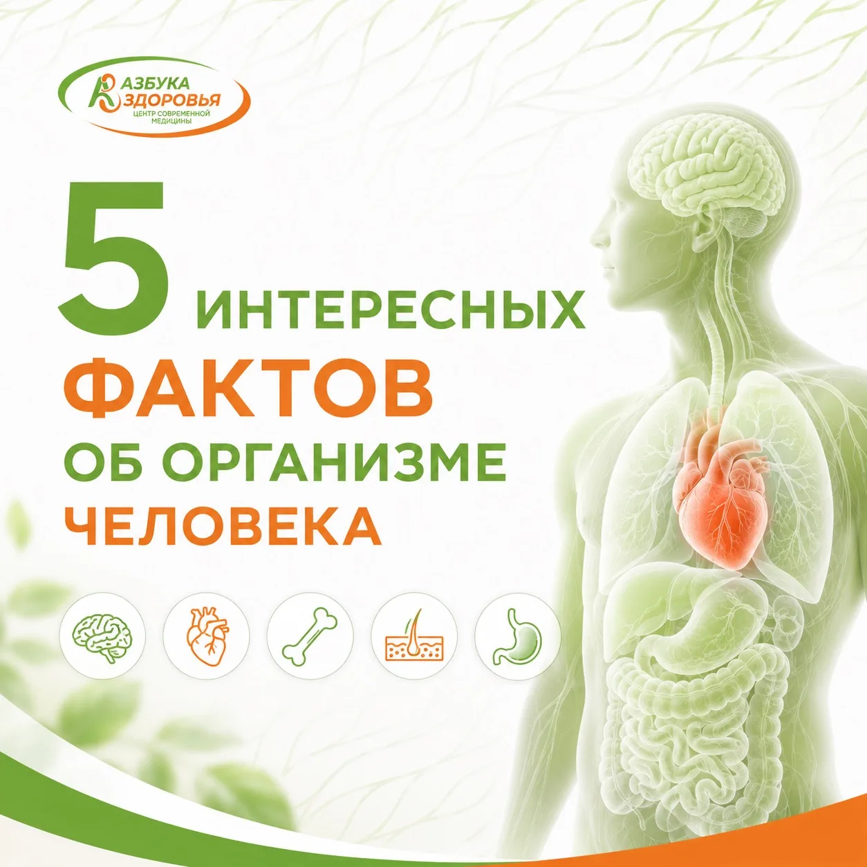 🧠 5 удивительных фактов о человеческом организме

Наш организм ежедневно выполняет тысячи сложнейши