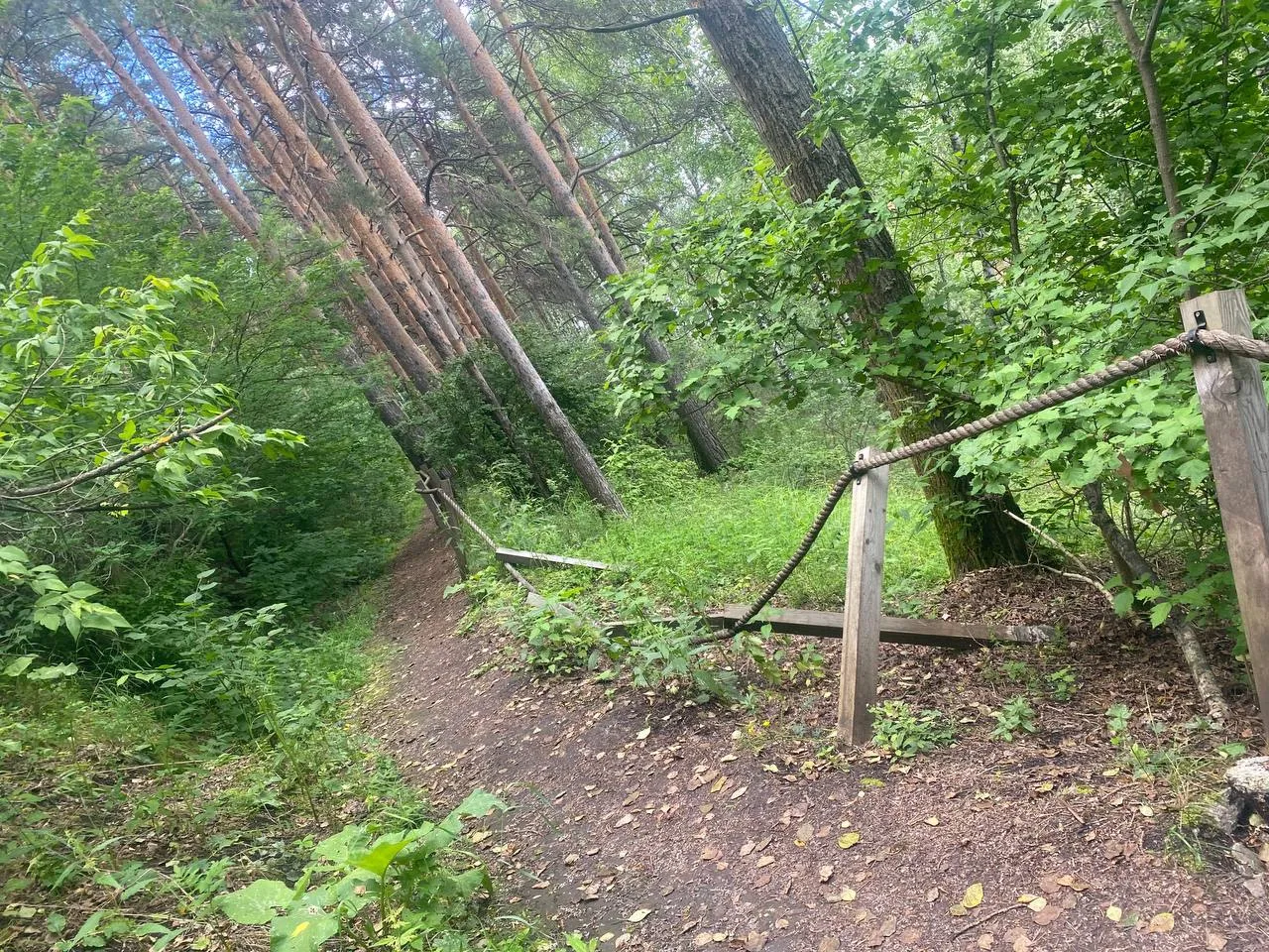 От подписчика в бот: