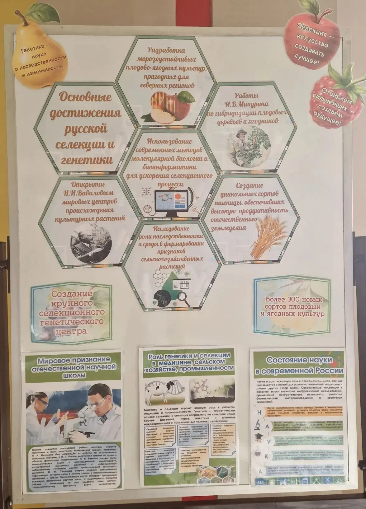 Стартовала Неделя предметов естественнонаучного цикла! 🚀  Наука Биология раскрыла "Секреты невидимог