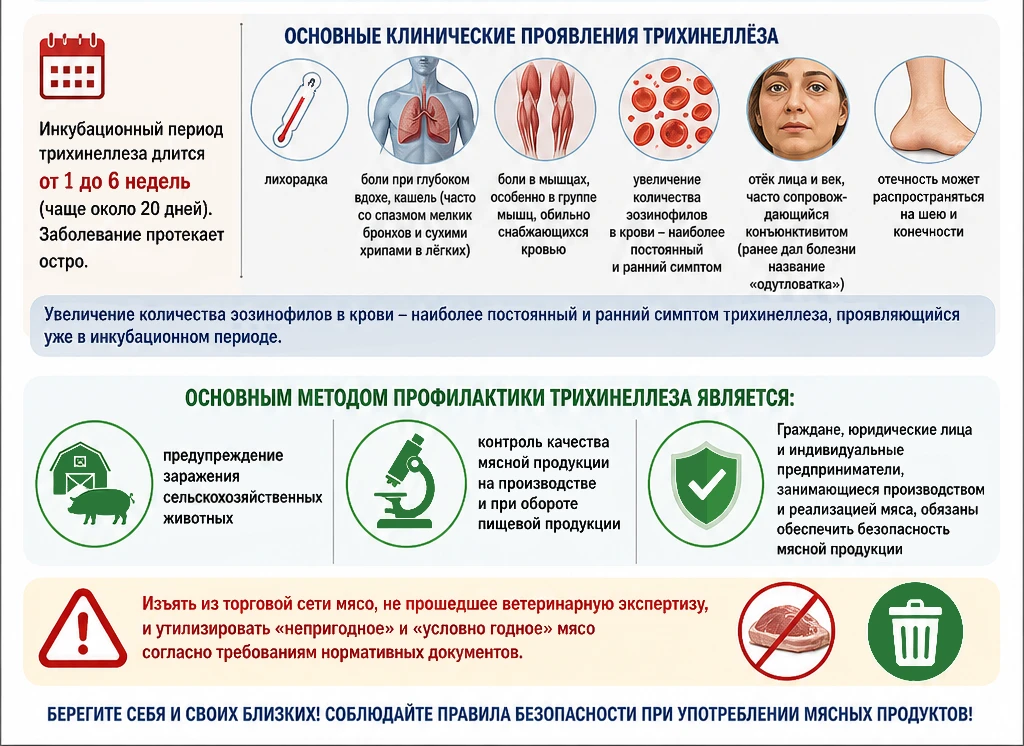 Трихинеллез: характеристика и меры профилактики  ➡️ Трихинеллез – природно-очаговое заболевание, выз