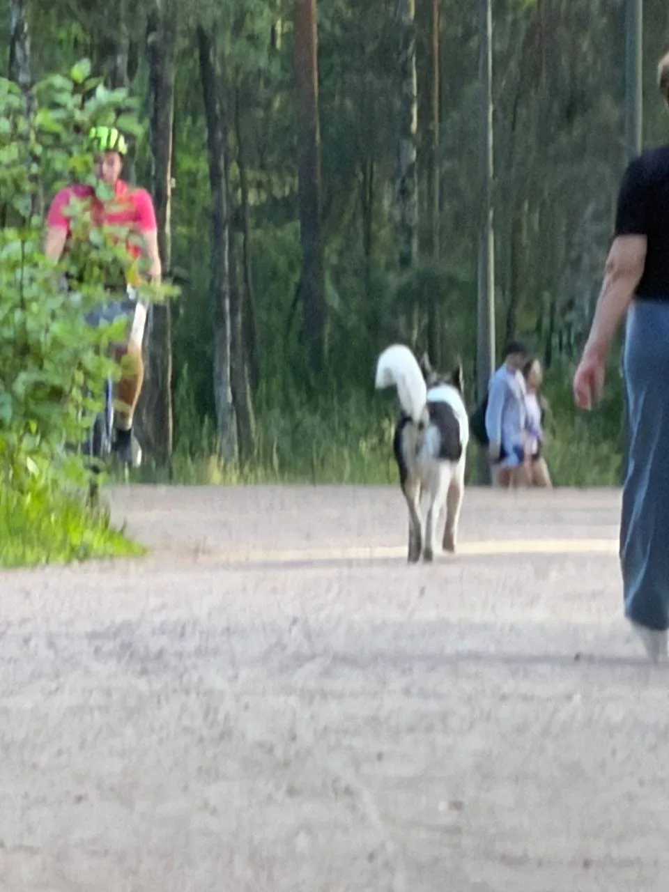🔍 Потеряшки