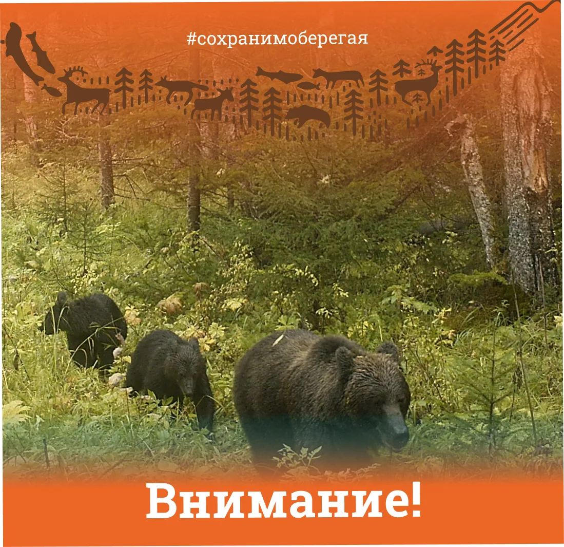 ЕЩЁ 2 МАРШРУТА ЗАКРЫТЫ