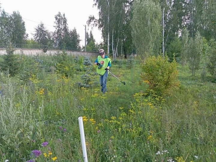 🌿 Волонтёры привели в порядок Зелёный сквер в Елабуге