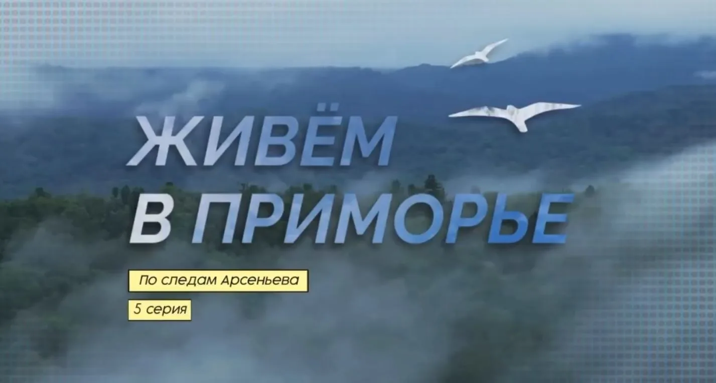 🌊Столица Дальнего Востока во всей красе

В пятом выпуске документального сериала #ЖивёмвПриморье ра