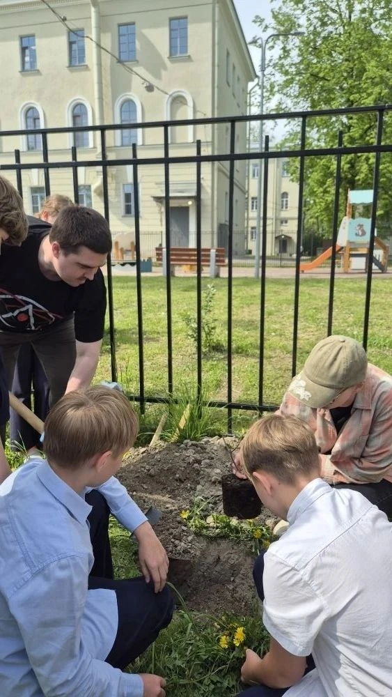 Продолжая традицию, выпускники начальной школы посадили в пришкольном саду кусты гортензии. Благодар