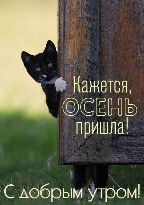 Женские открытки💝
