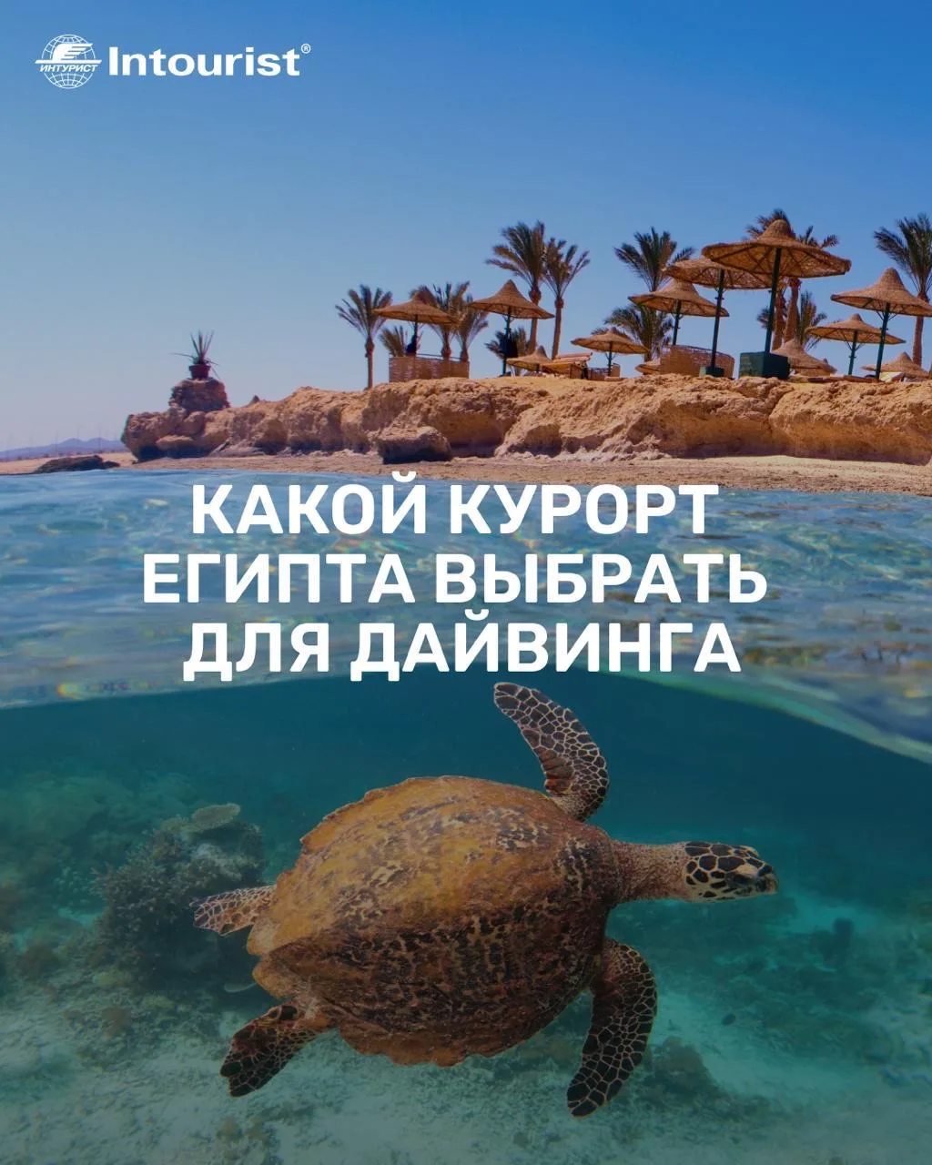 🤿Какой курорт Египта выбрать для дайвинга