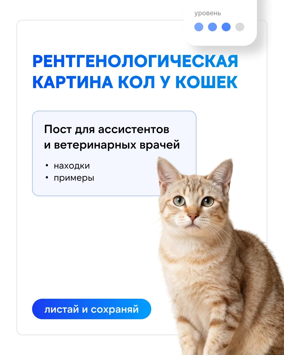 🎓  Рентгенологическая картина кардиогенного отёка лёгких у кошек

📍Автор поста: Пахомова Елена В