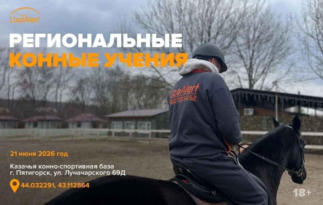 Конное направление отряда #ЛизаАлерт уникально по своим возможностям. Лошади способны проходить в те