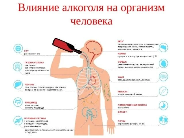 Главное изменение: после отказа от алкоголя  человек перестает регулярно подвергать орг...