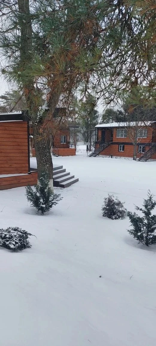 ❄Вот и завершился январь — месяц, который часто ассоциируется с новыми начинаниями, цел...