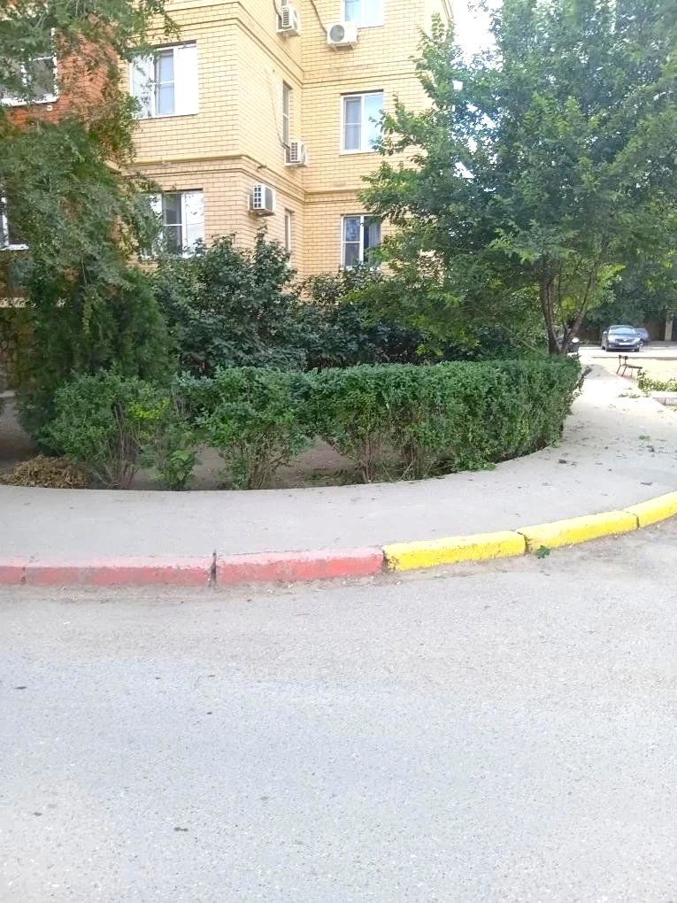 К новости «✂️ Летняя стрижка для вашего двора! 🌳»