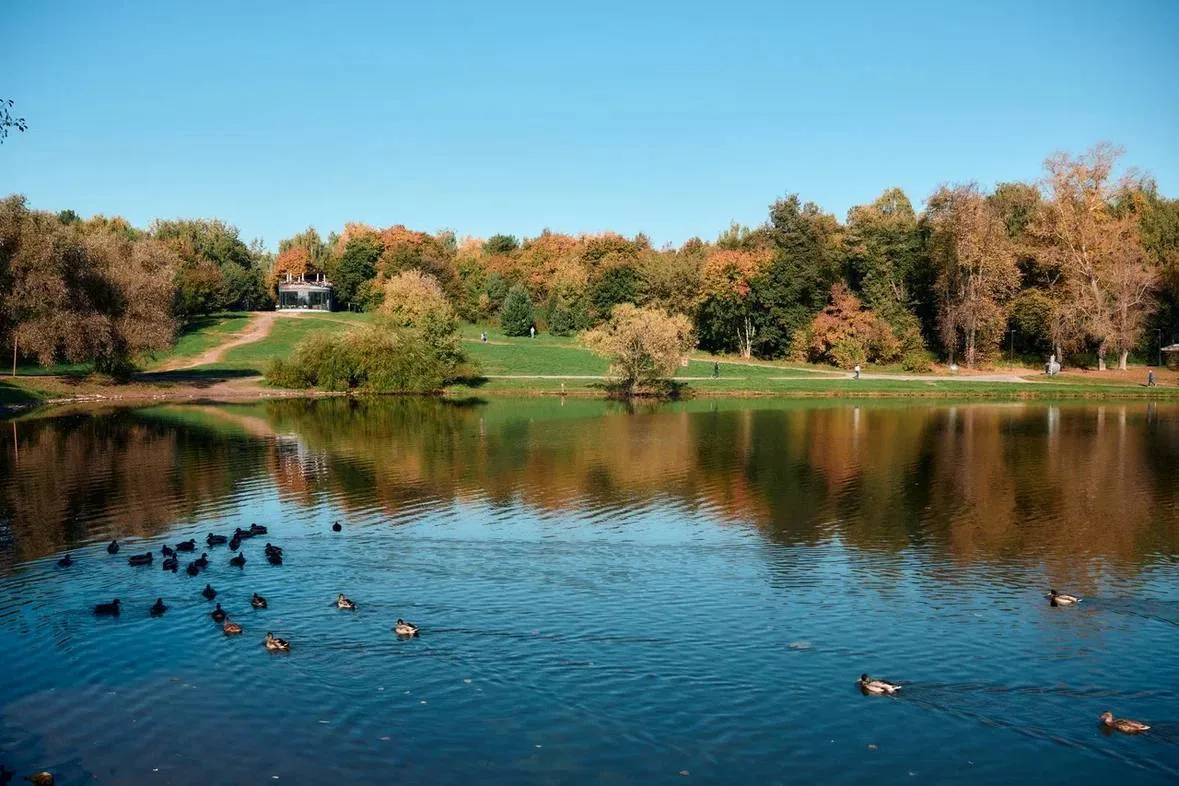 🍂 Осень укрывает парк Кузьминки-Люблино спокойствием