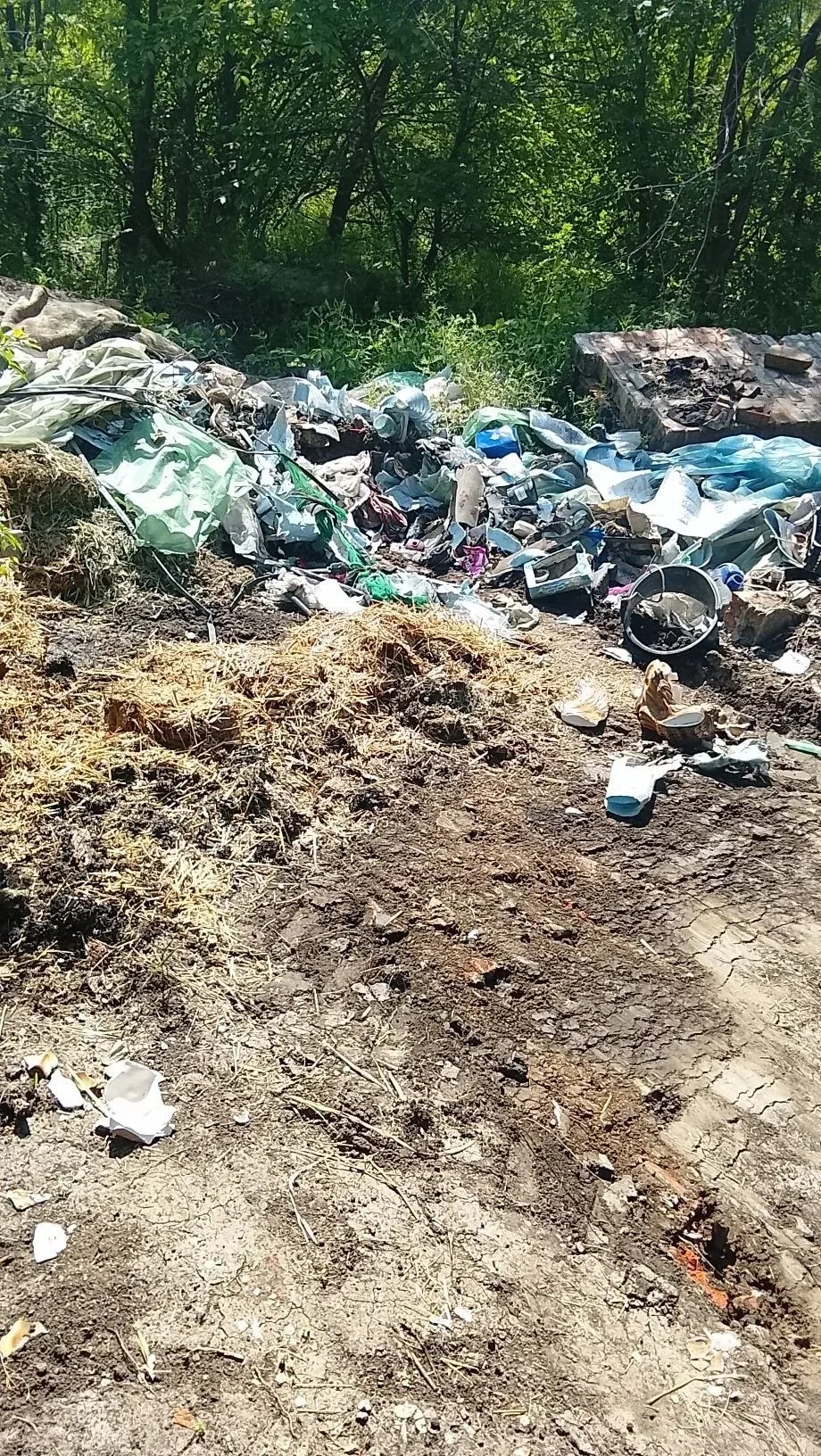 Проводилась уборка локального навала мусора на территории Багаевского сельского поселен...
