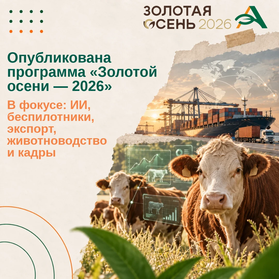 🟠 Опубликована деловая программа «Золотой осени — 2026»
