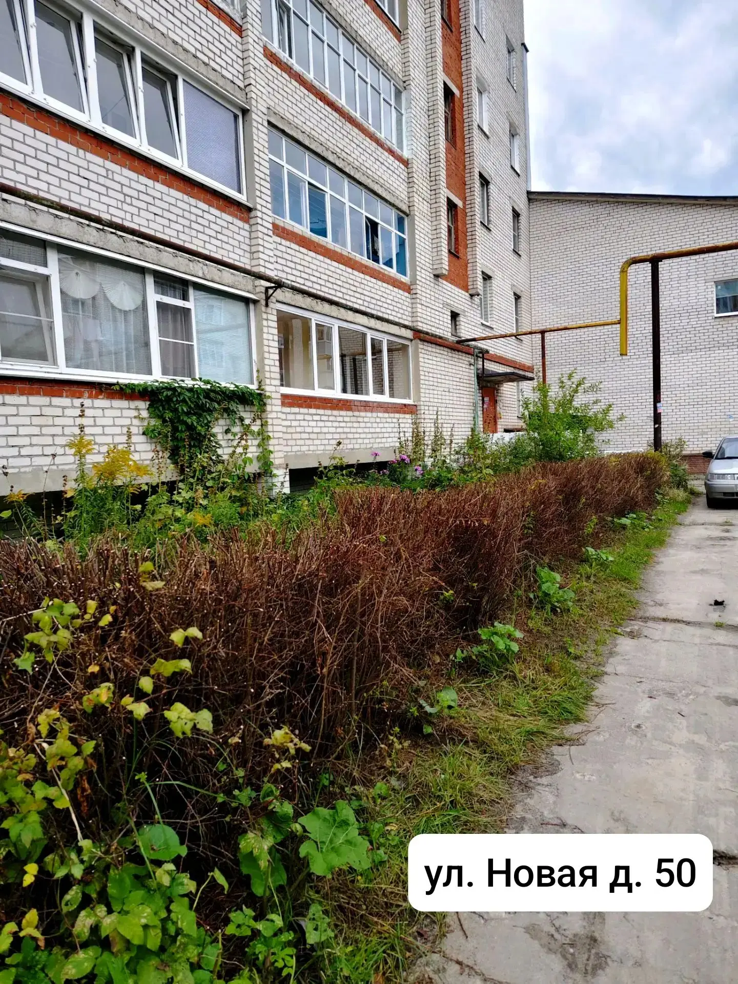 А также произведена обрезка кустов по адресам ул. Новая д.50, д.92, ул. Фурманова д.23