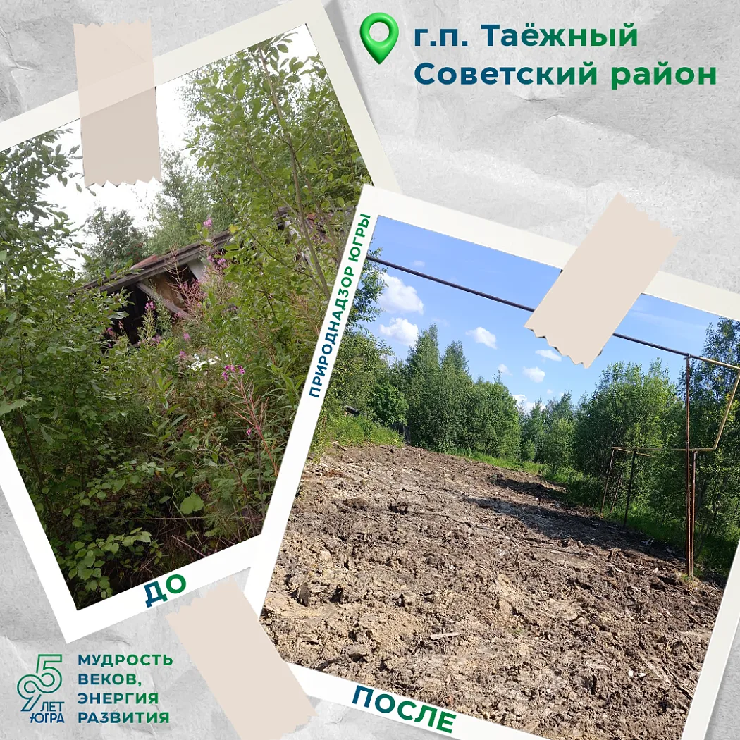 В г.п. Таежном Советского района ликвидированы две свалки

Советским отделом Природнадзора Югры пров