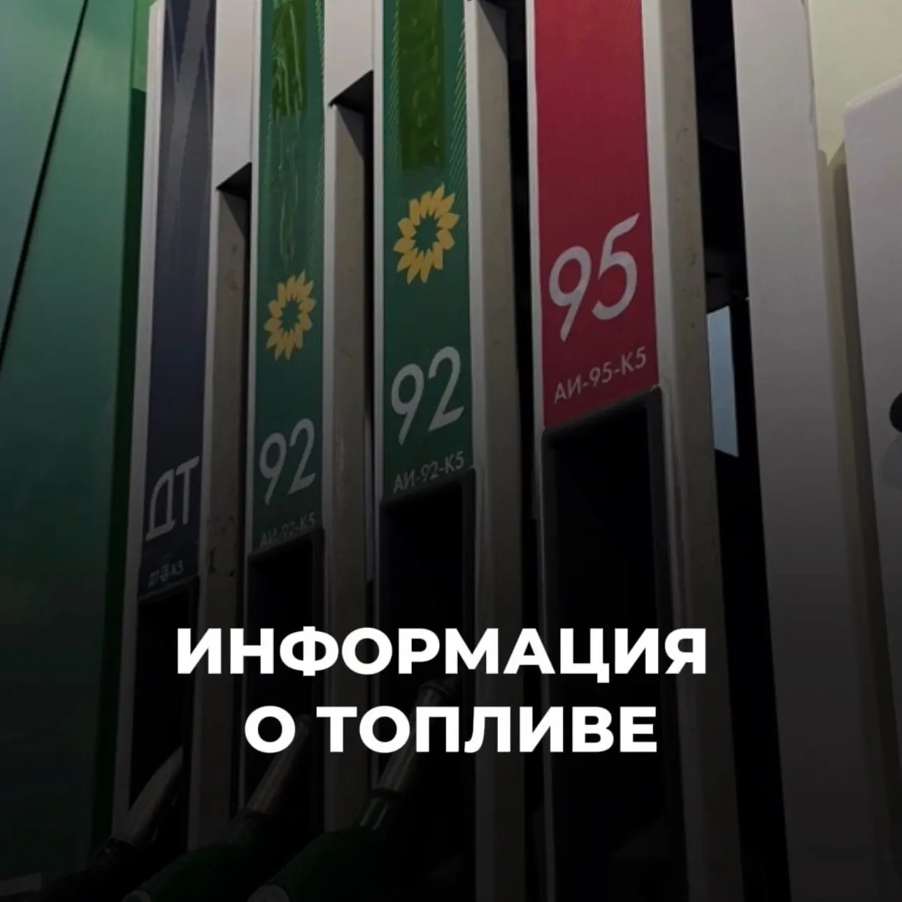 ⛽️ Топливо в Архангельске: сводка на 2 октября