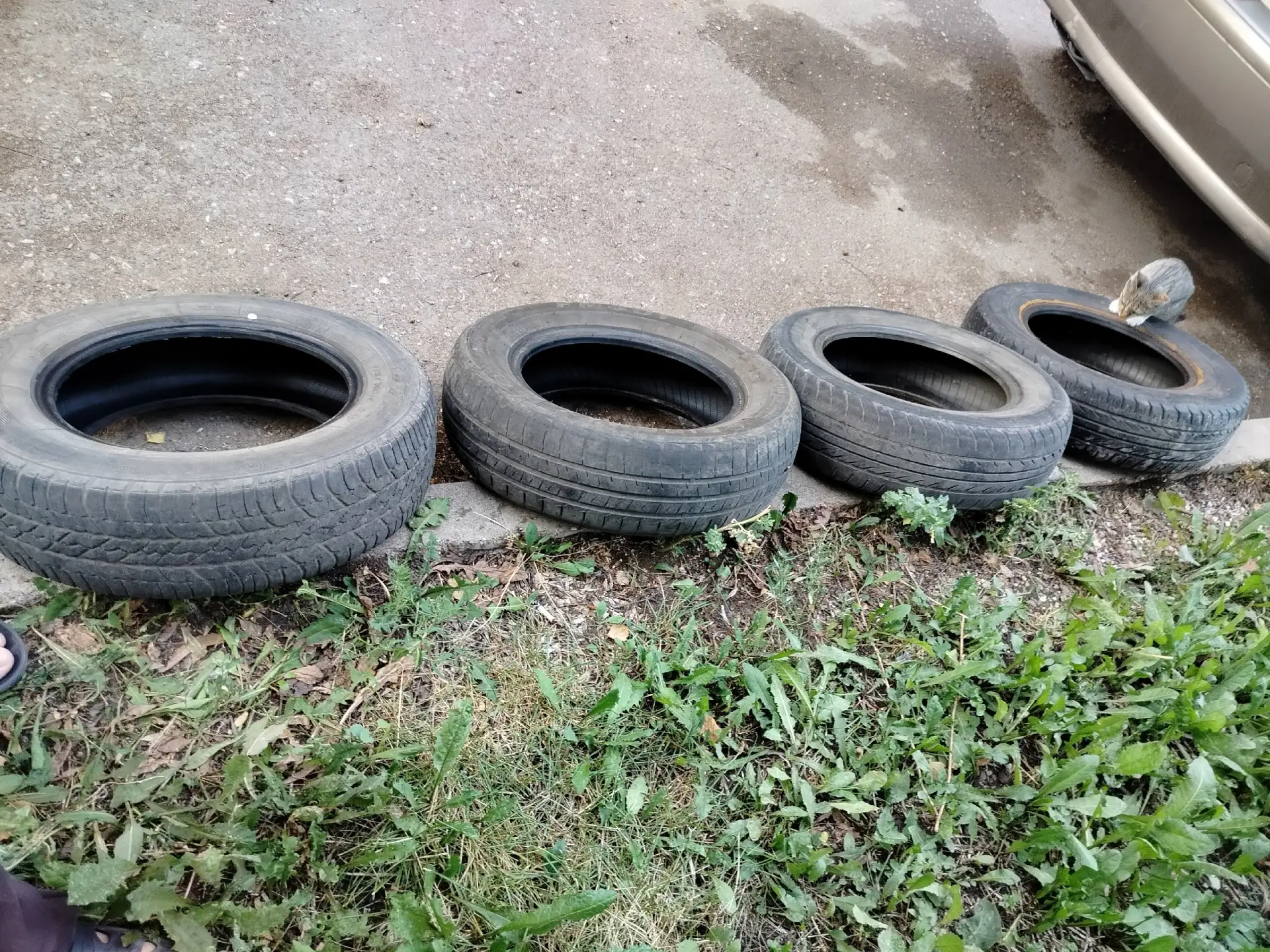 Отдам колёса б/у 175/70 r14 - 3 шт., 185/60 r14 - 1 шт. Может кому сезон докатать надо ...