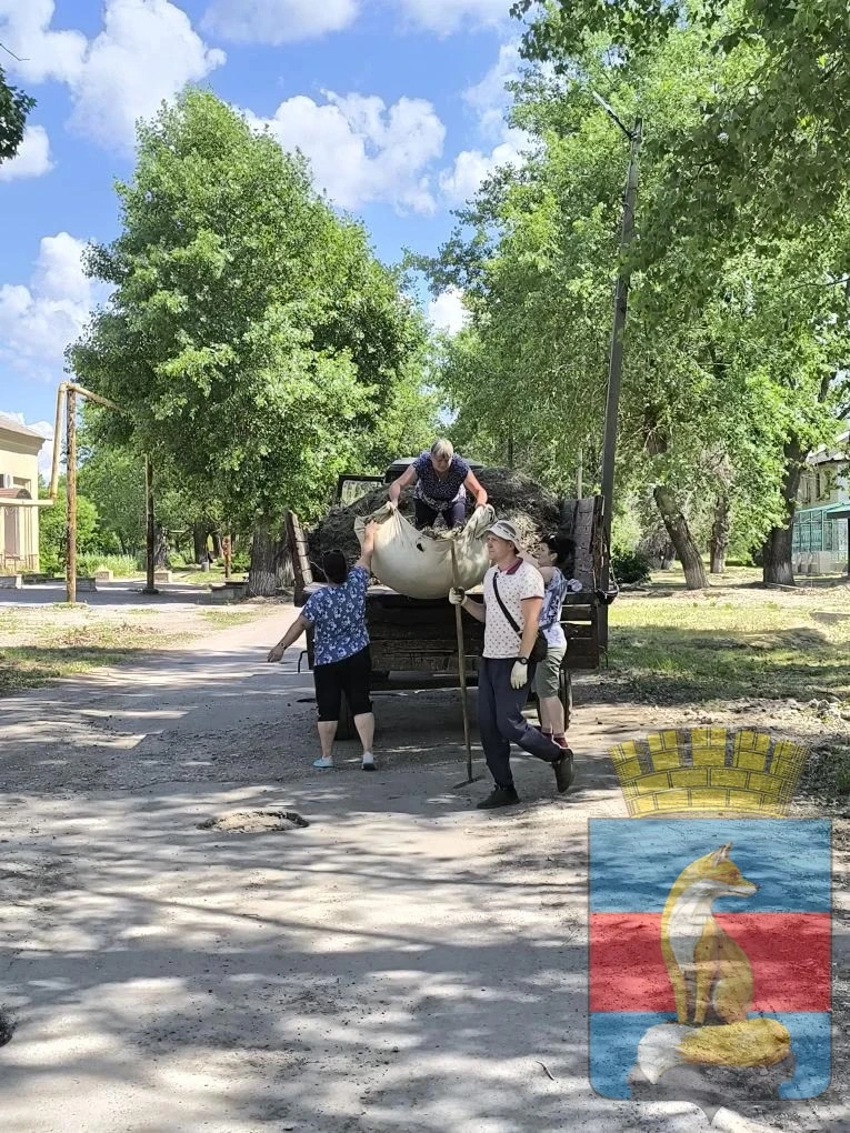 В современном мире проблема загрязнения окружающей среды становится все более актуальной. Одной из н
