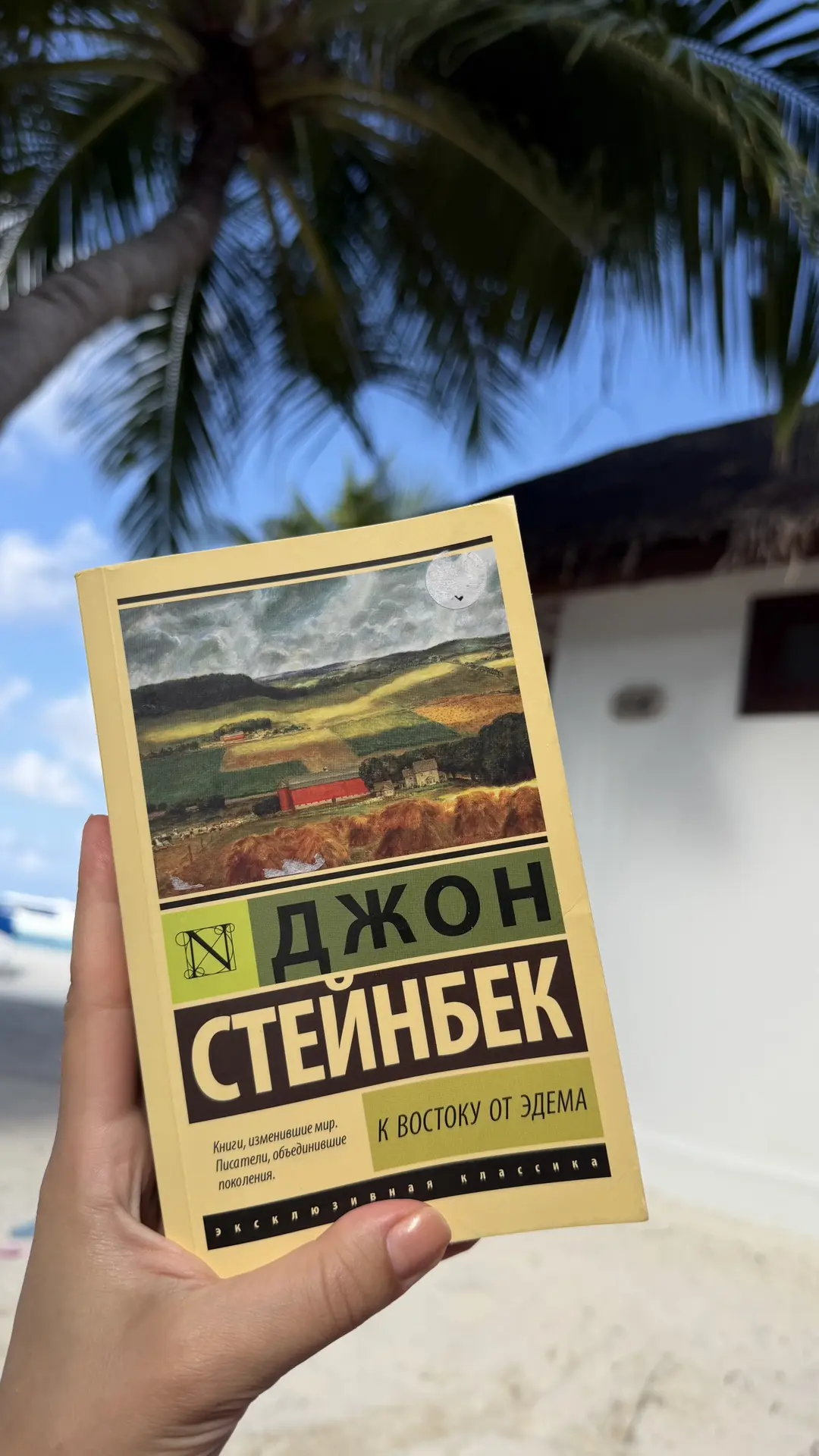~ из последнего прочитанного 📖

В путешествие брала с собой две книги. Совершенно разные, но обе о 