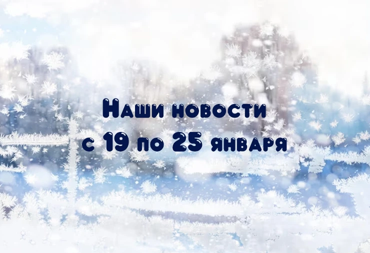 Прощаемся с ёлочкой в группе «Ромашка»! - https://vk.com/wall-17565680_21524