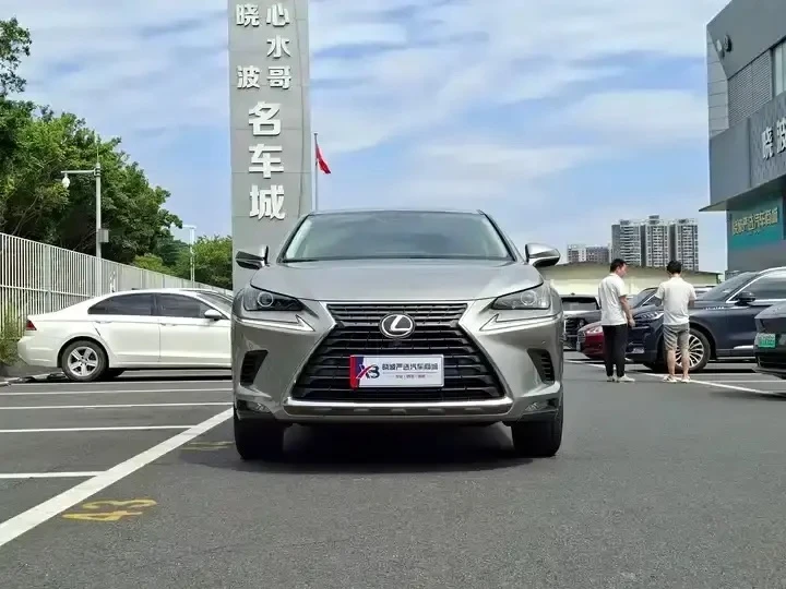 🇯🇵Lexus NX 2020 из Китая