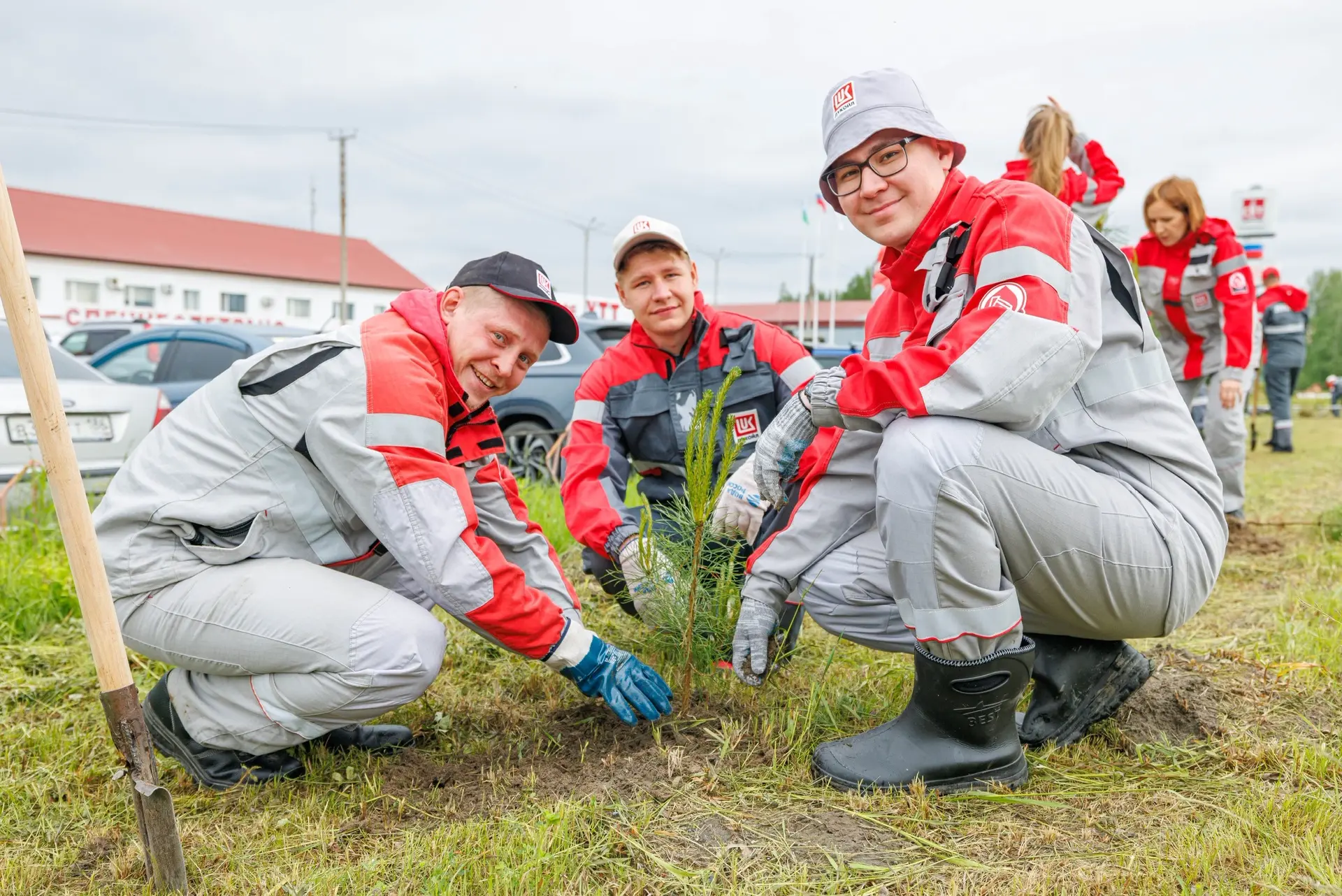 🌳 25-тысячную отметку превысил счёт проекта «Создаём новый лес — 35 тысяч деревьев»