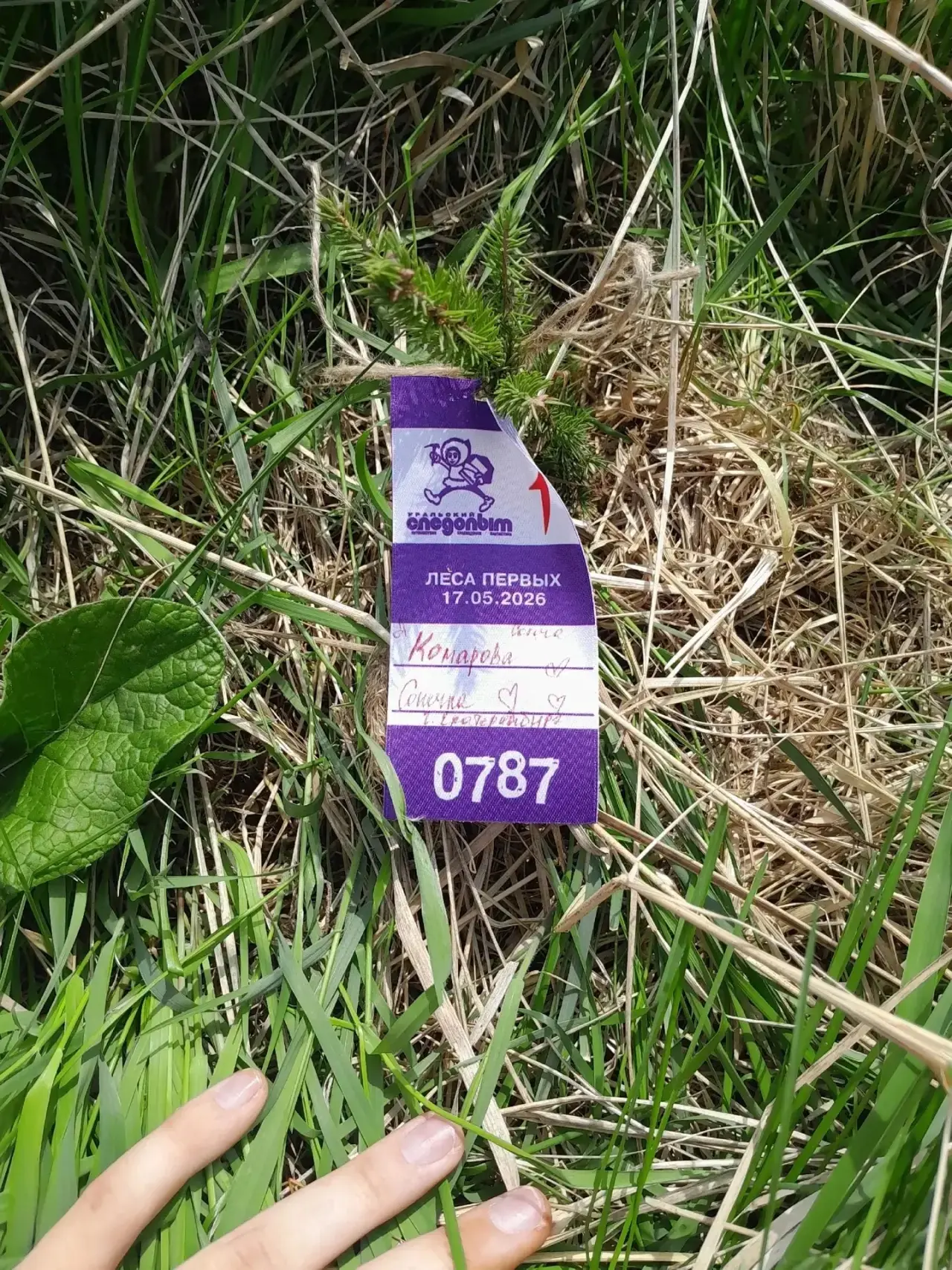 🌳 «Леса Первых. Деревья дружбы» — под таким девизом 17 мая в Шарташском лесопарке прошла масштабная 