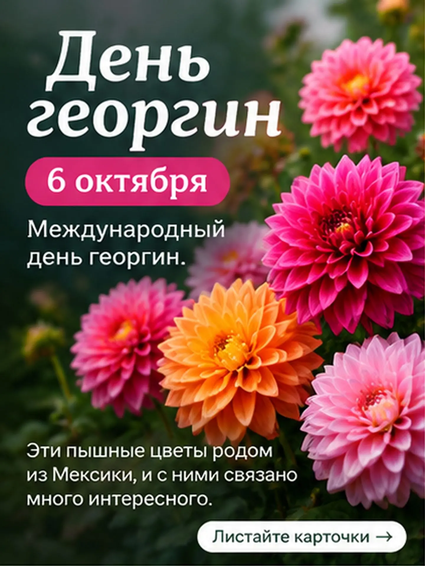 Цветок с характером