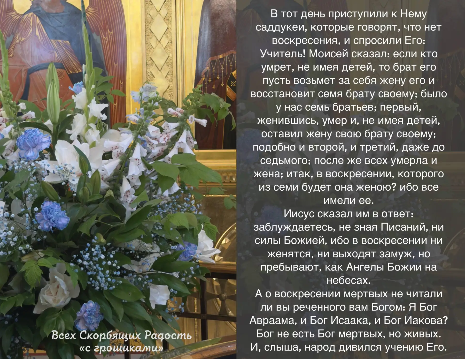 📖 Евангелие сегодняшнего дня Мф. 22:23-33                                                          