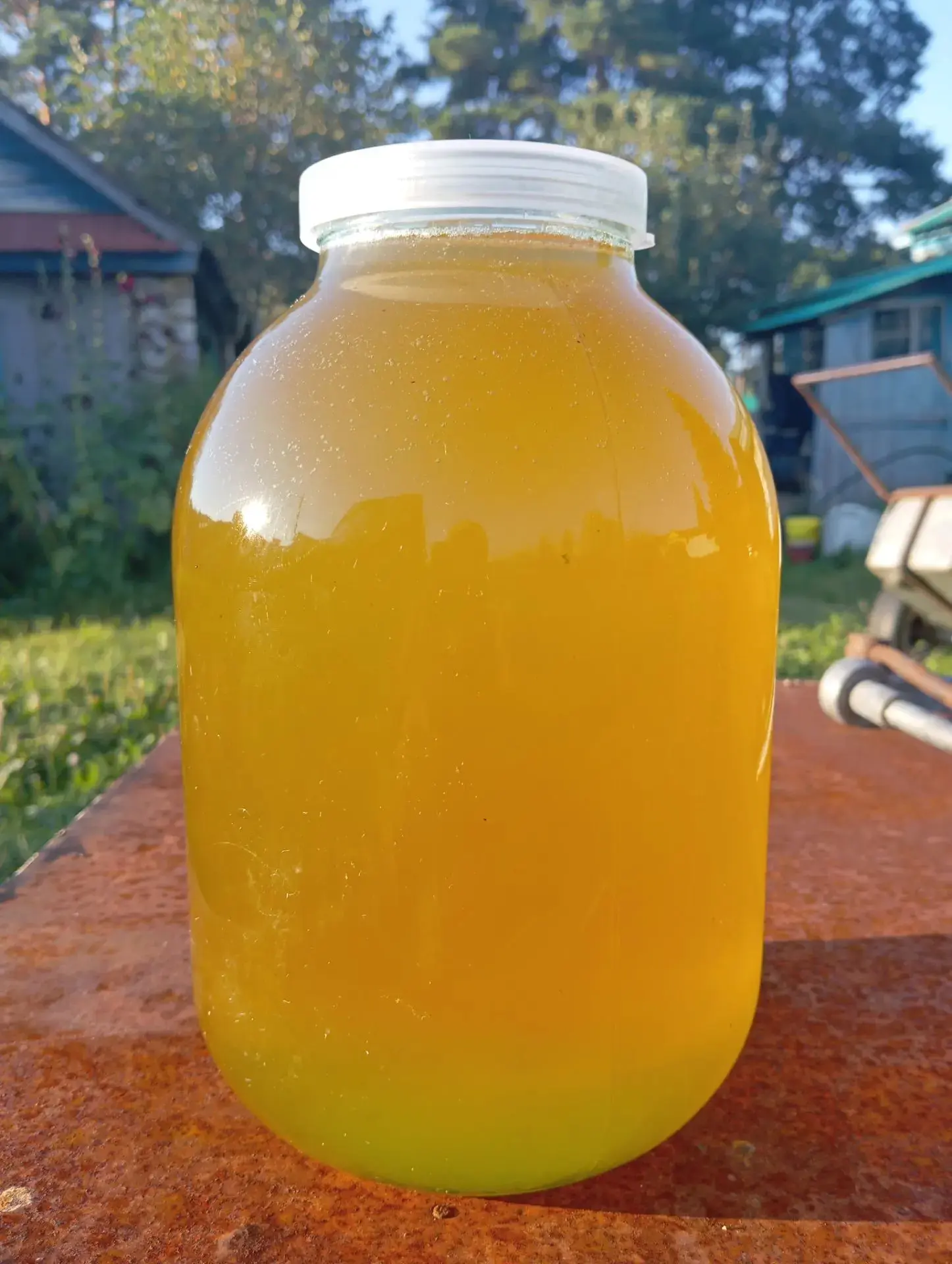 Горный липовый мед 🍯