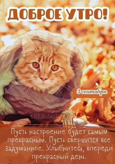 Список качественных каналов в МАХ | Подпишись!❤️