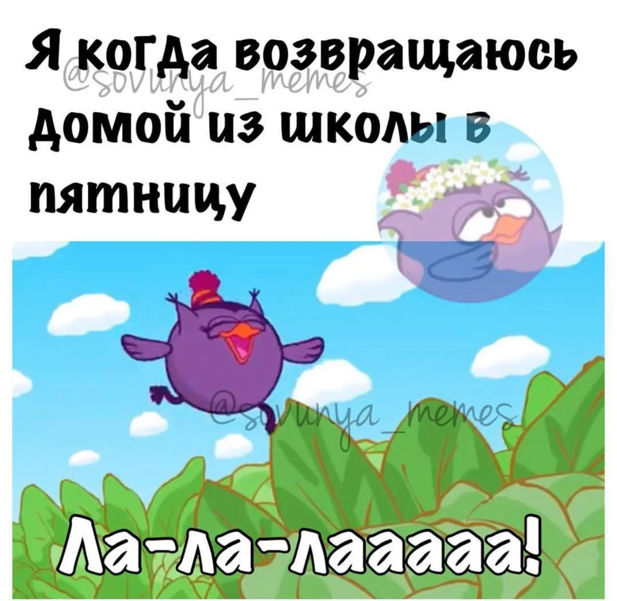 Жаль, что сегодня понедельник
