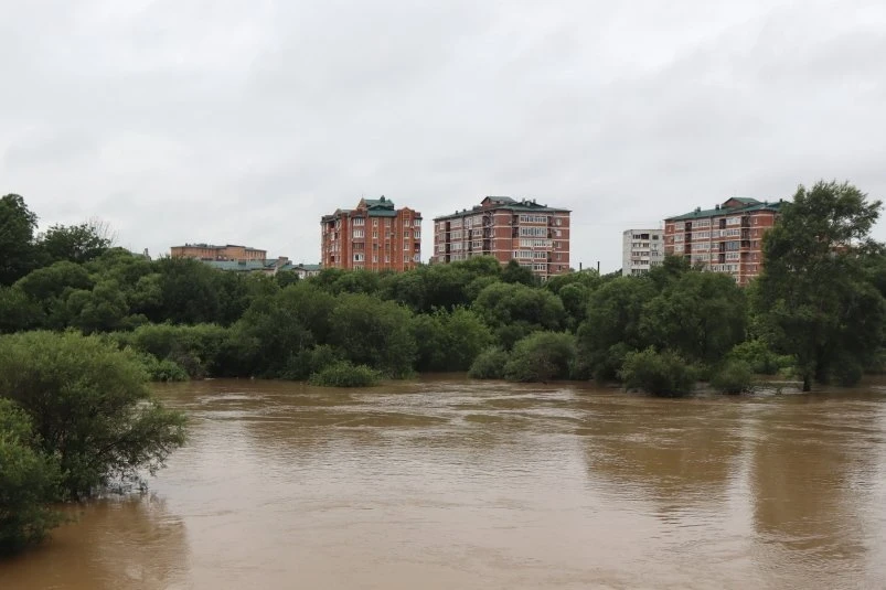 ⛈️Зальет или сбрызнет: чего ждать от штормовых выходных жителям Уссурийска