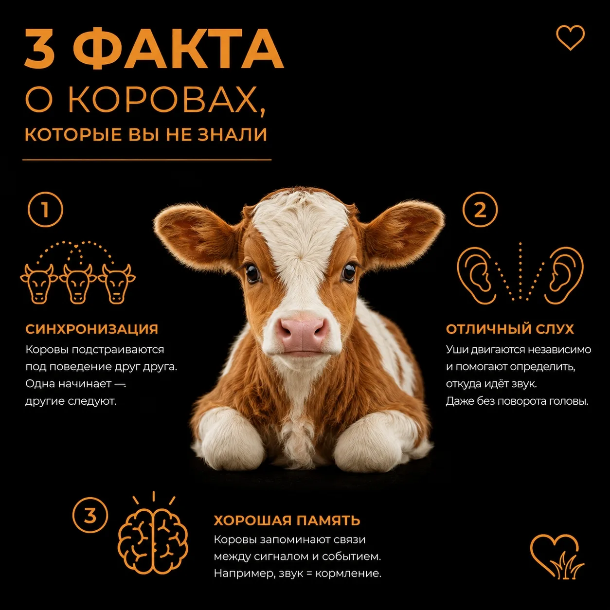 ФАКТЫ О КОРМИЛИЦАХ: