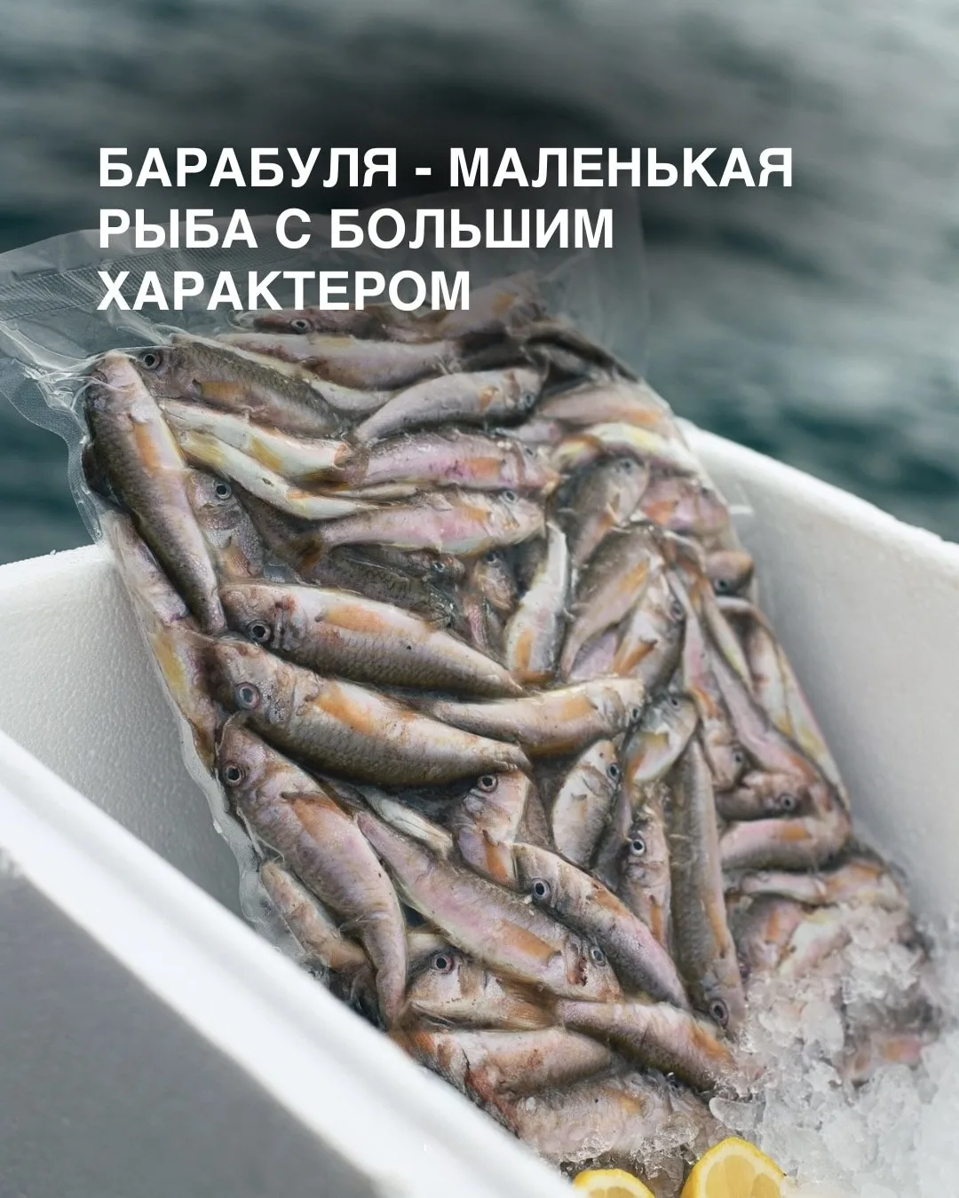 Есть продукты, которые сразу напоминают о море…

Барабуля - именно такая рыба 🐟Небольшая по размеру