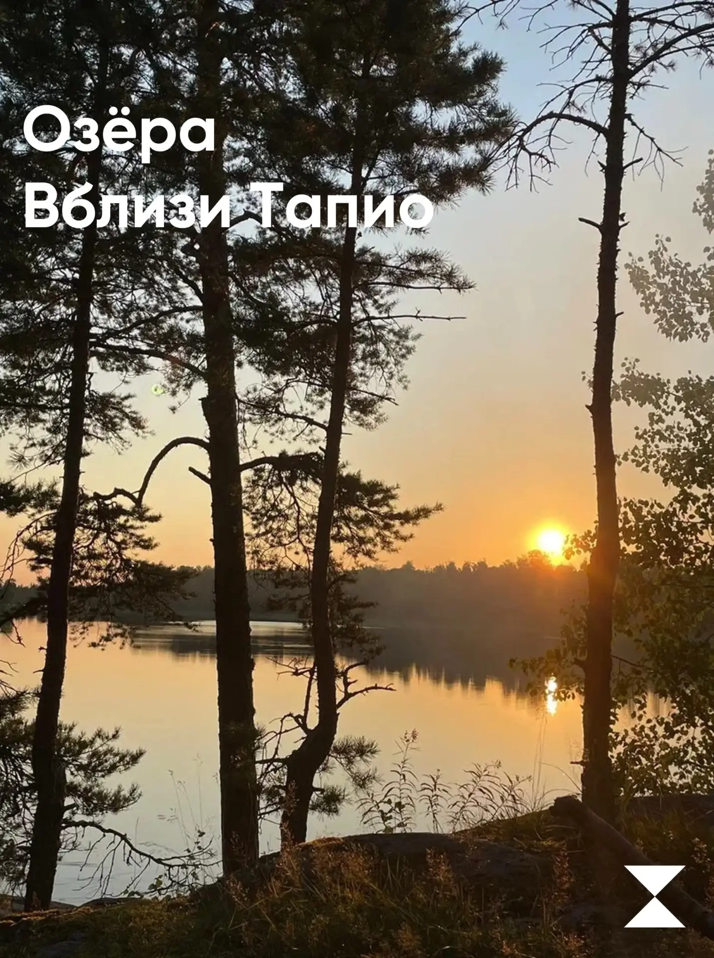 А мы не устаем повторять какое прекрасное лето в Приозерском районе 🧡
Леса и водоёмы — наше главное