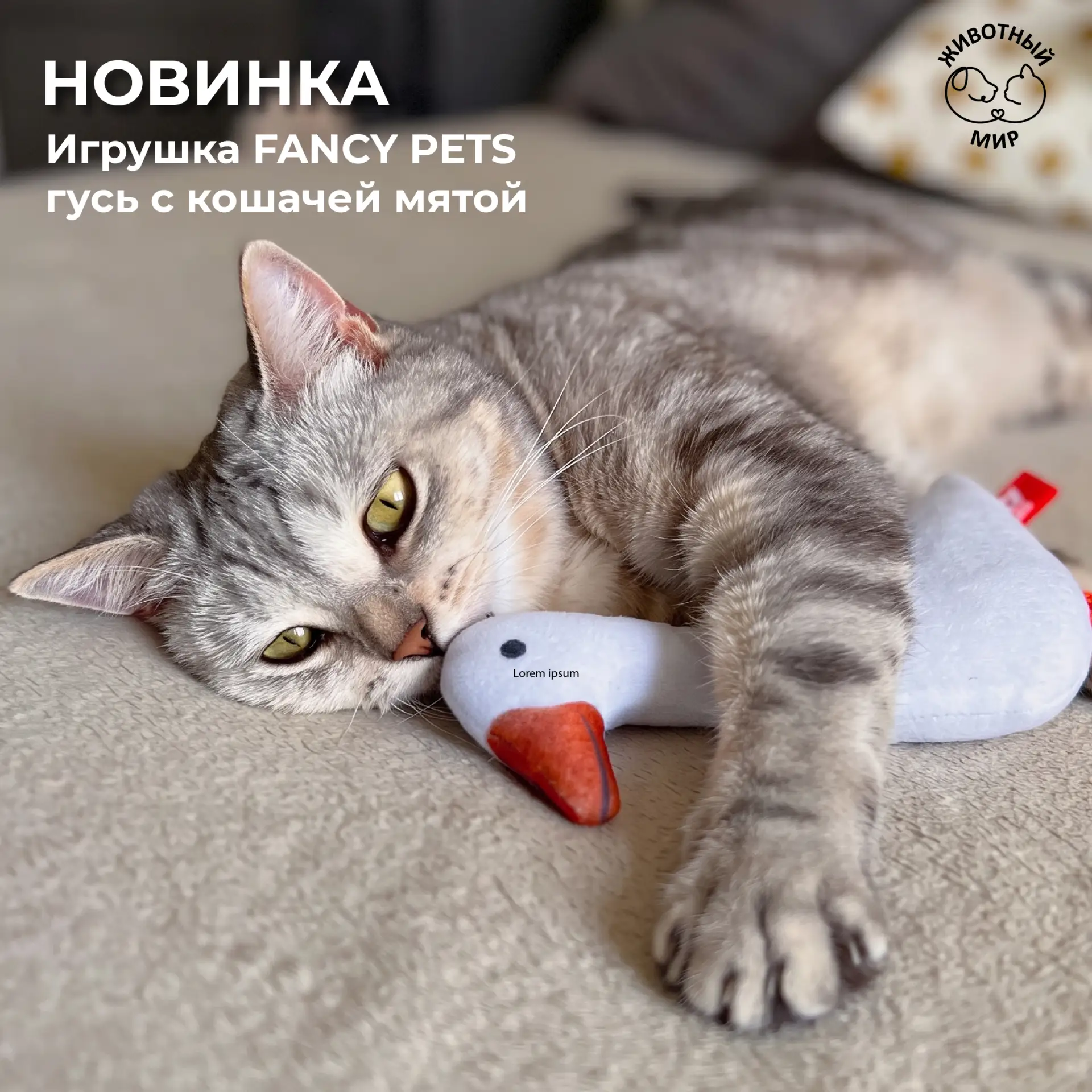 🦆 НОВИНКА