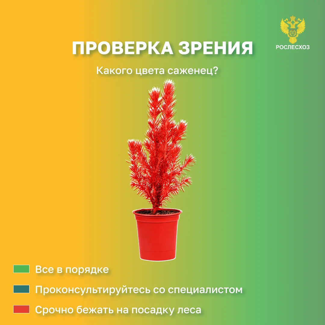 👀 В #Выходные проверяем зрение