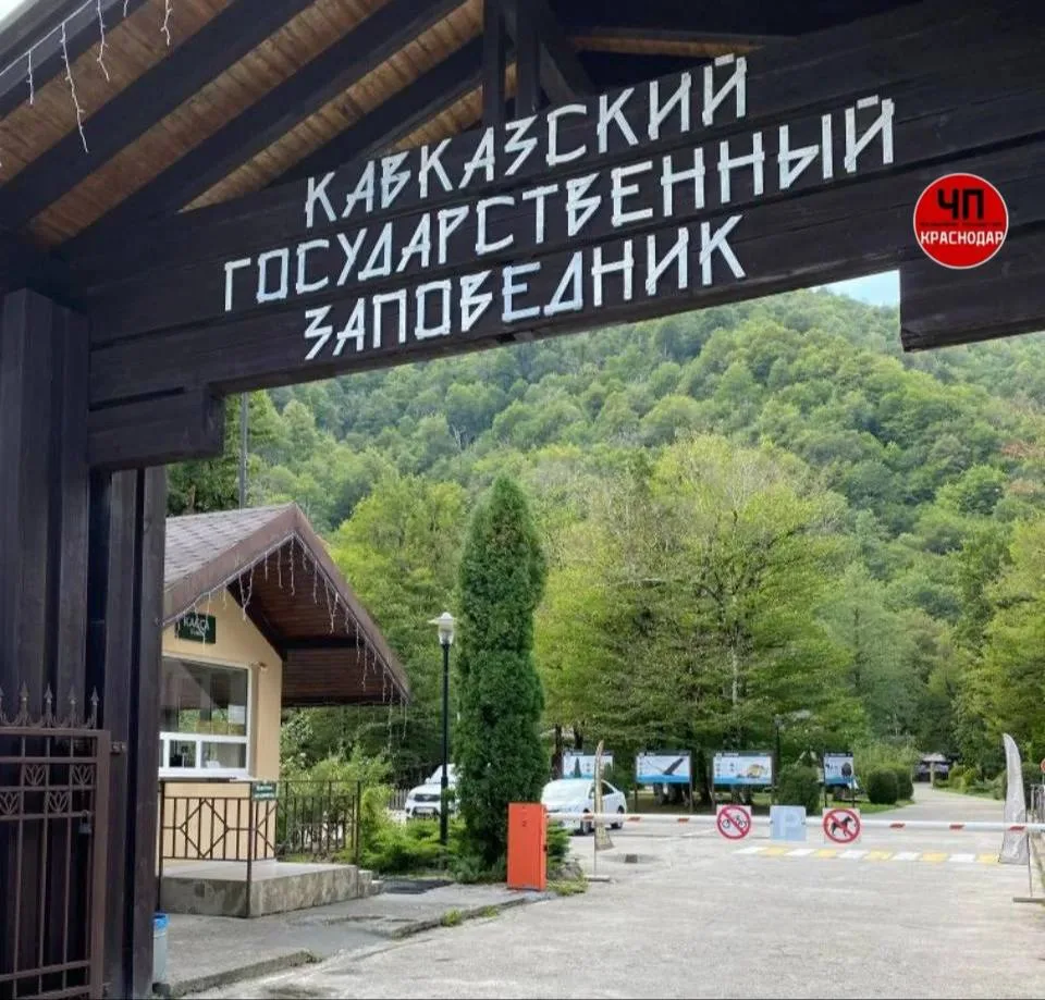 👮‍♂️В Сочи судят новое руководство заповедника и нацпарка

На скамье подсудимых оказались Владимир 