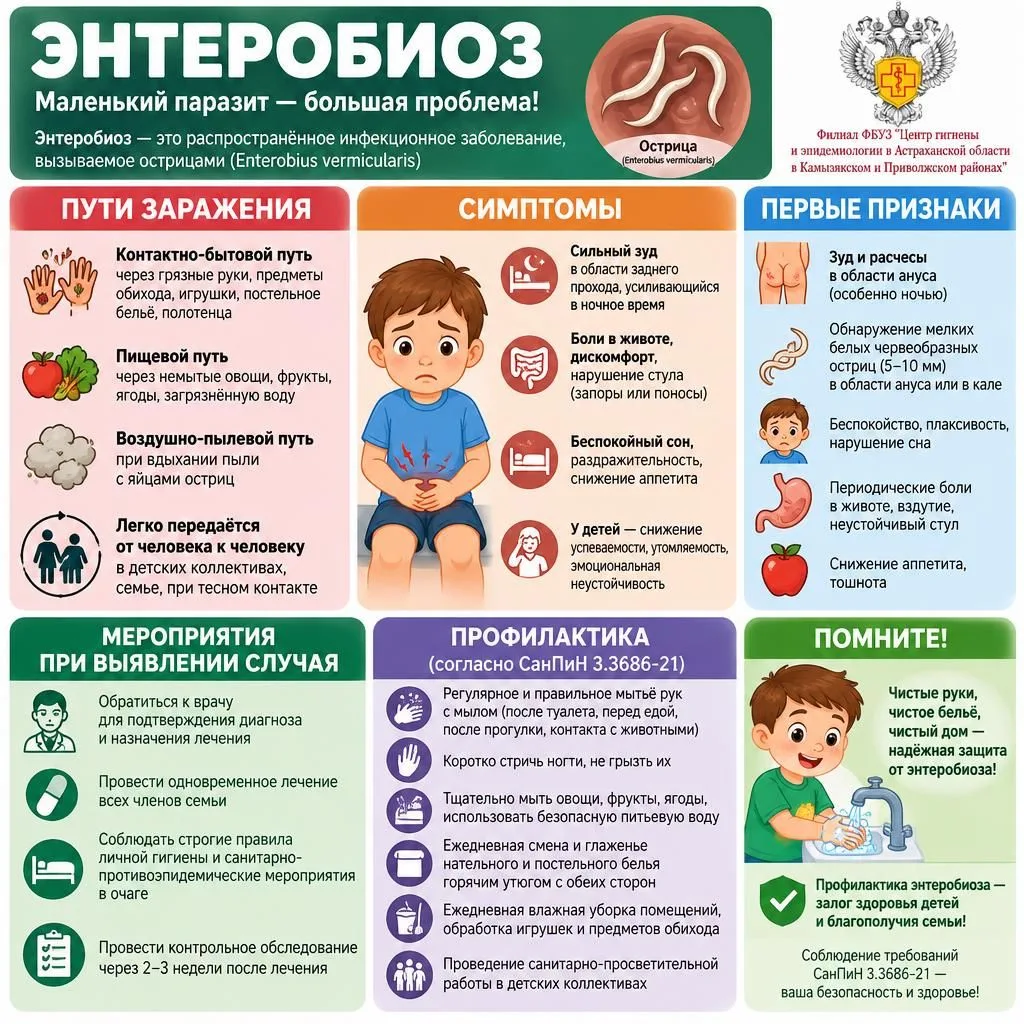 🚨 ЭНТЕРОБИОЗ: ВАЖНАЯ ИНФОРМАЦИЯ ДЛЯ РОДИТЕЛЕЙ И ПЕДАГОГОВ 🚨Энтеробиоз - самый распрос...