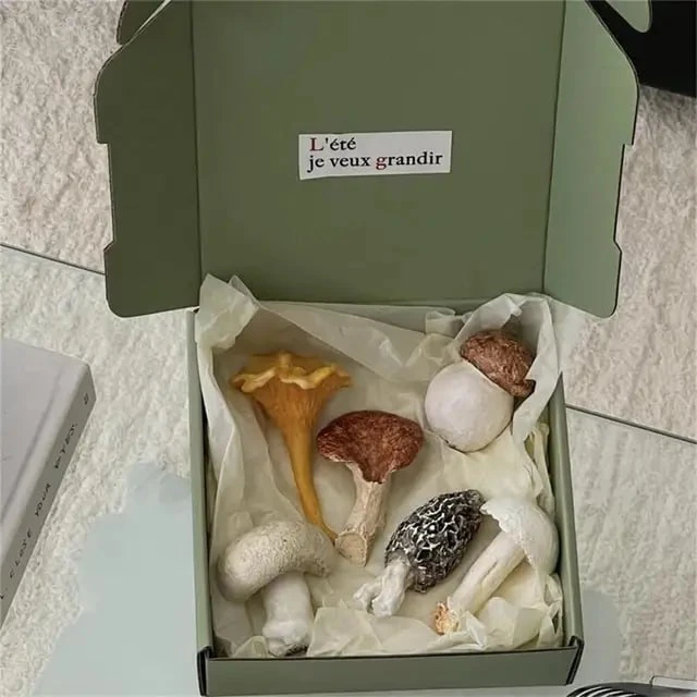 🍄 Осень для меня всегда связана с грибами. Не обязательно с корзинками и лесом, а скор...