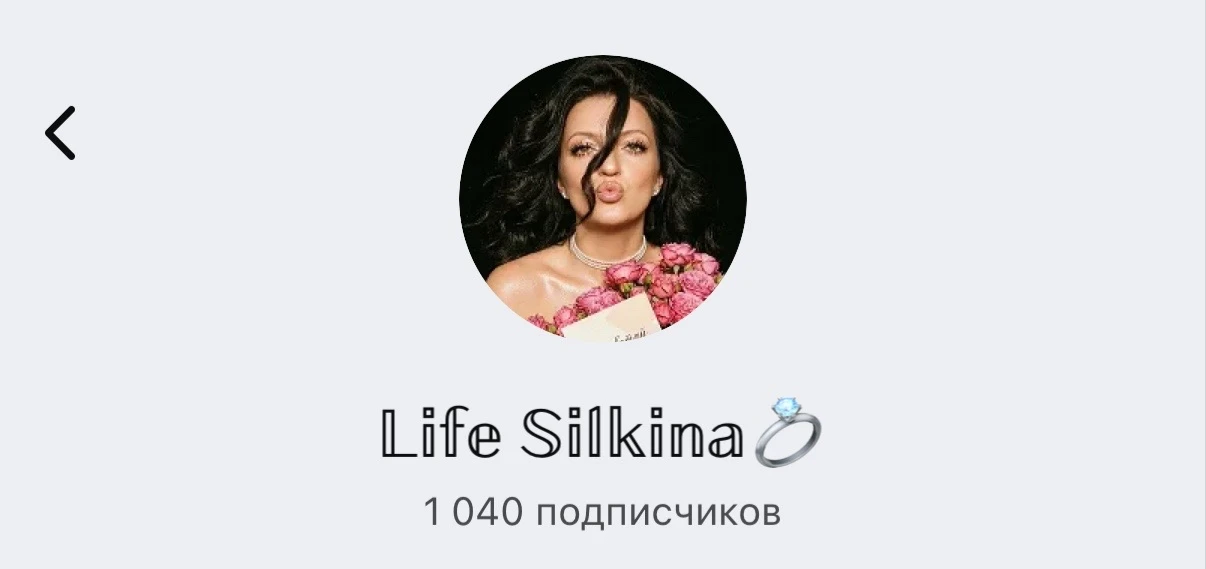 Набор к Life Silkina